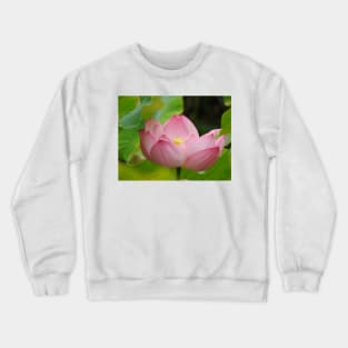 Lotus Flower Crewneck Sweatshirt